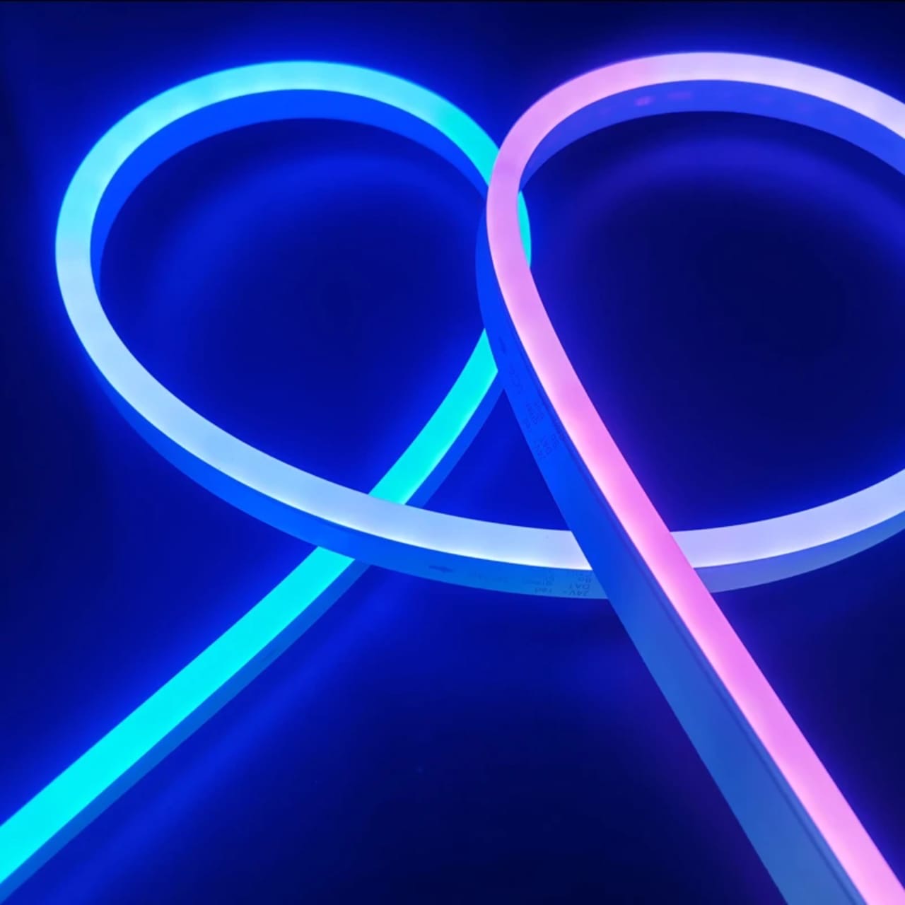 Neon LED Flex Strips – Smart Color Lighting